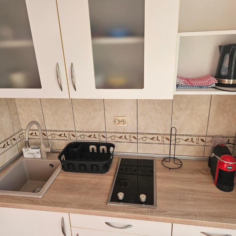Apartments Vlaovic Igalo - Herceg Novi - Studio with Sea View - 9
