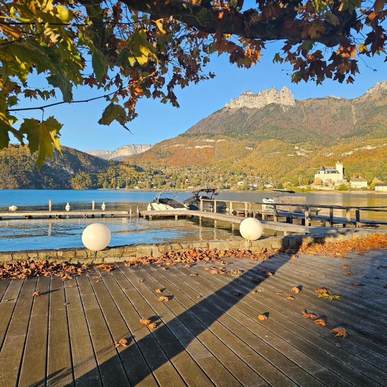 Studio Cosy avec Plage et Parking Privés au bord du Lac D'Annecy - Appartement 1 Chambre - 37