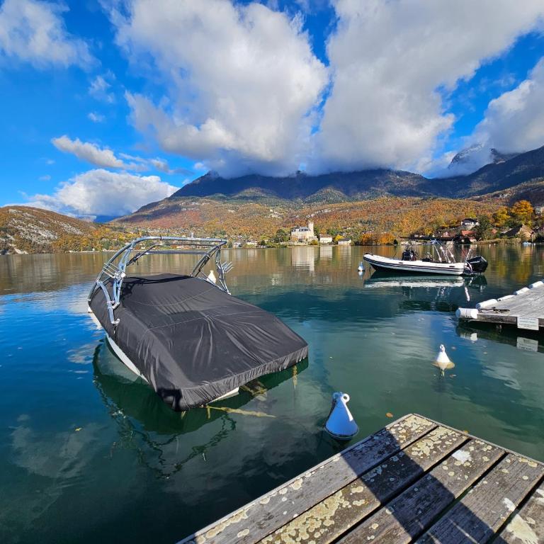 Studio Cosy avec Plage et Parking Privés au bord du Lac D'Annecy - Appartement 1 Chambre - 2