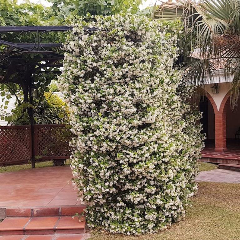 Mi pedacito de Cielo!!!! - Casa de 6 dormitorios - 8