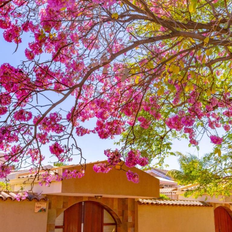 Mi pedacito de Cielo!!!! - Casa de 6 dormitorios - 29