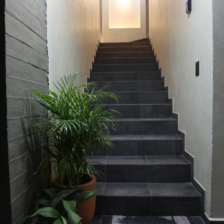 Casa Nogui - Apartamento de 2 dormitorios - 15