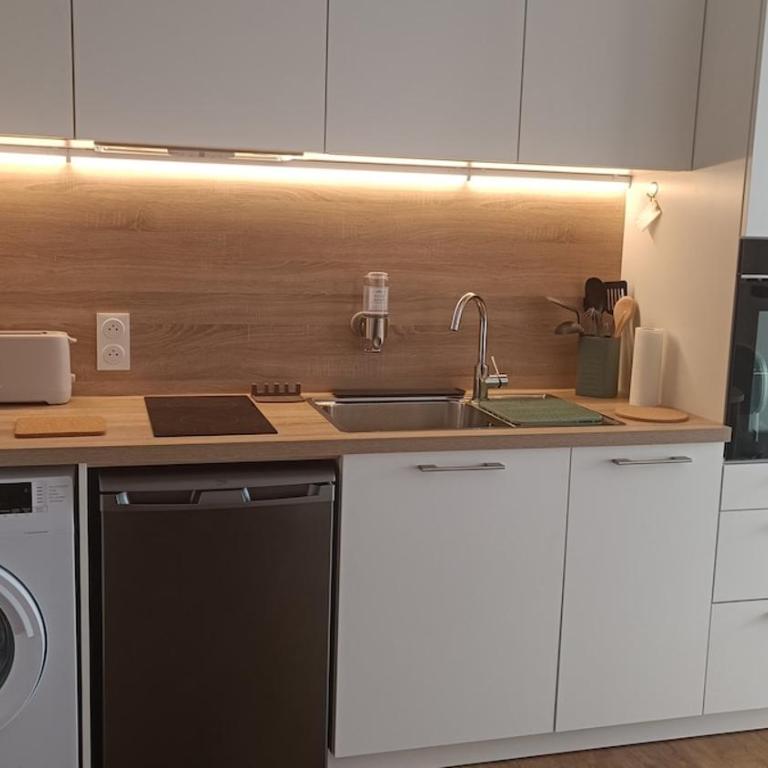 Appartement T2 neuf plein centre village - Appartement 1 Chambre avec Balcon et Vue sur les Montagnes - 11