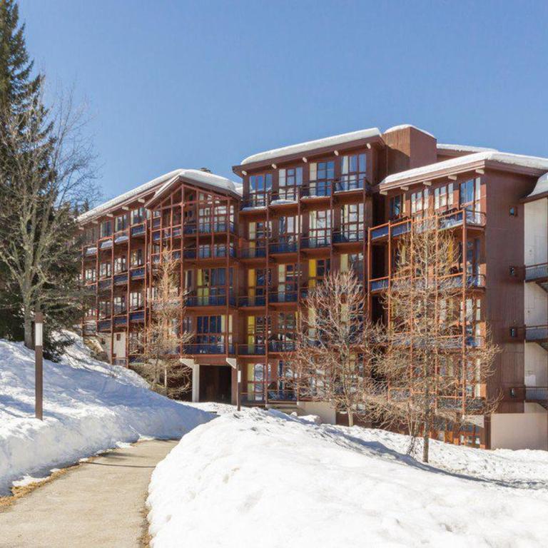 Duplex lumineux skis aux pieds avec balcon - FR-1-346-438 - Studio - 16