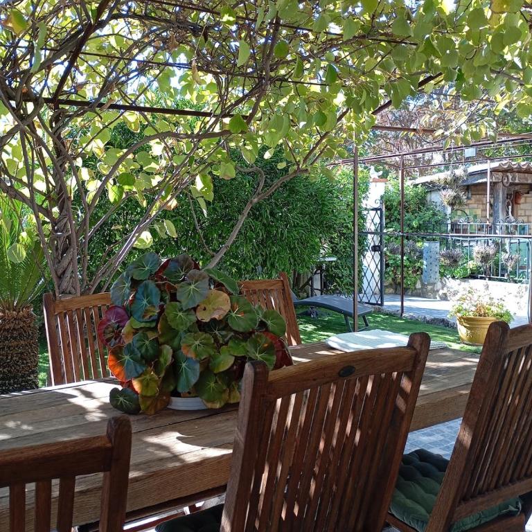 Bas de villa , coin détente extérieur et parking - Apartamento de 1 dormitorio - 2