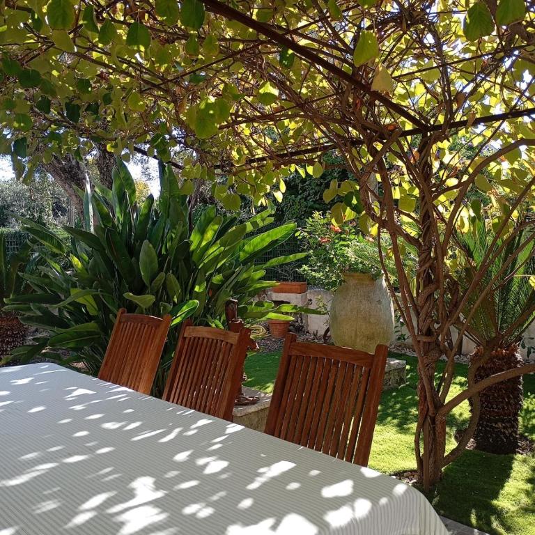 Bas de villa , coin détente extérieur et parking - Apartamento de 1 dormitorio - 13