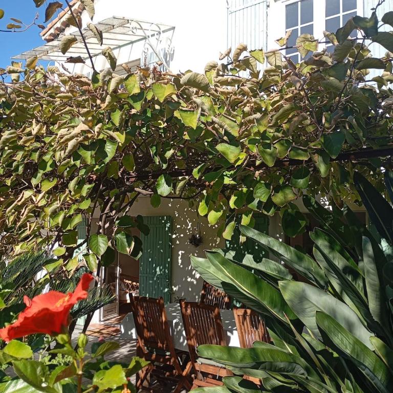 Bas de villa , coin détente extérieur et parking - Apartamento de 1 dormitorio - 16