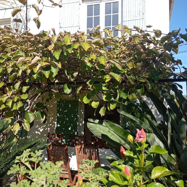 Bas de villa , coin détente extérieur et parking - Apartamento de 1 dormitorio - 22