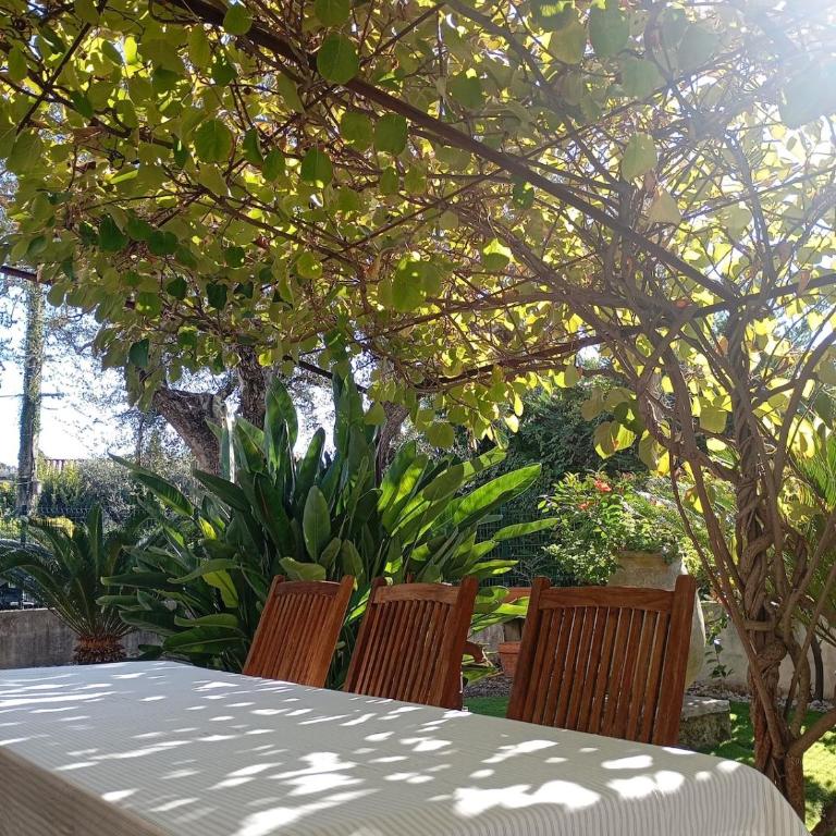 Bas de villa , coin détente extérieur et parking - Apartamento de 1 dormitorio - 37