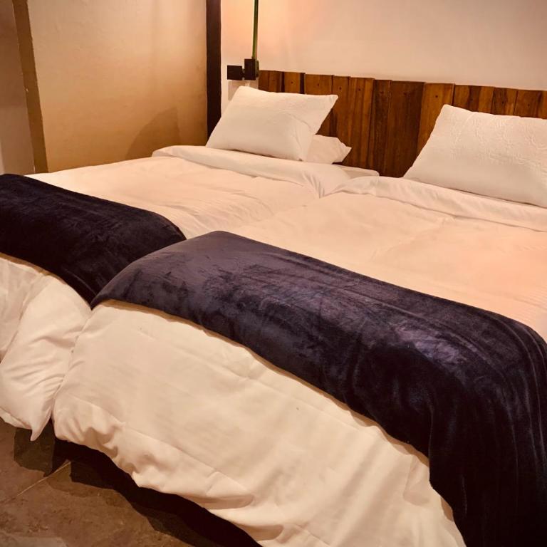 Hotel Quinta Bolivar - Habitación Doble - 2 camas - 4