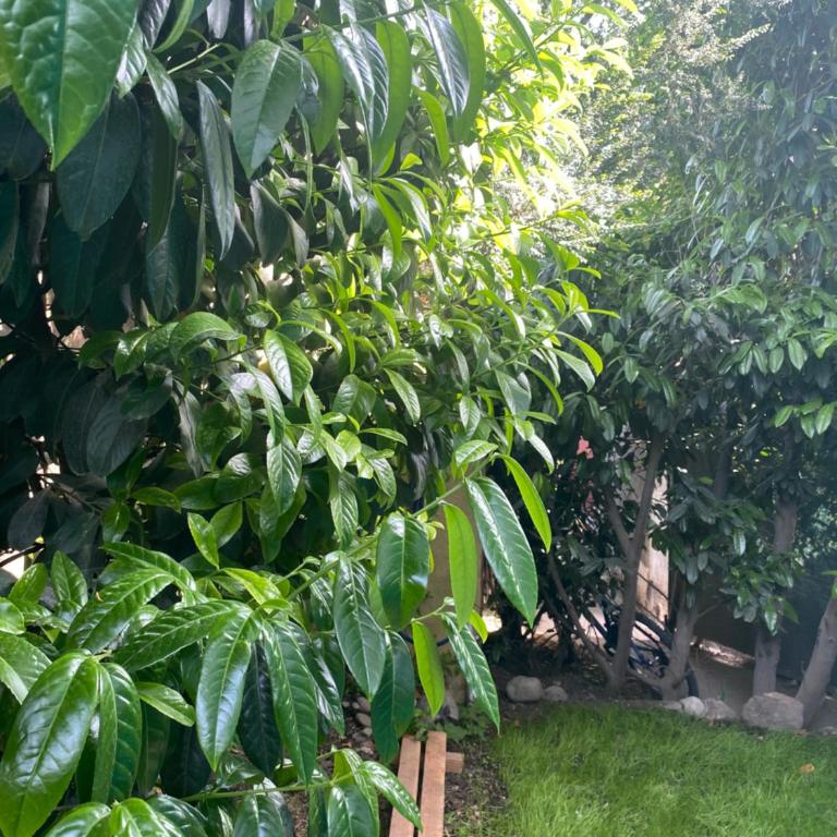 Lugar bonito casa de dos habitaciones - Casa de 3 dormitorios - 3