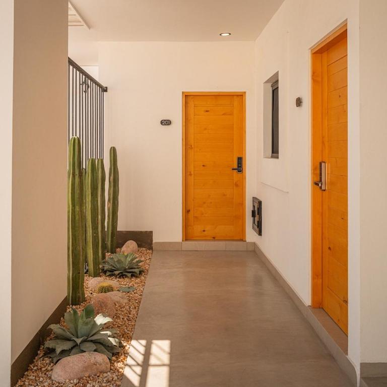 StudioPalma 202- Apartment near Downtown La Paz Cathedral with Daily cleaning & Parking - One-Bedroom Apartment - 11