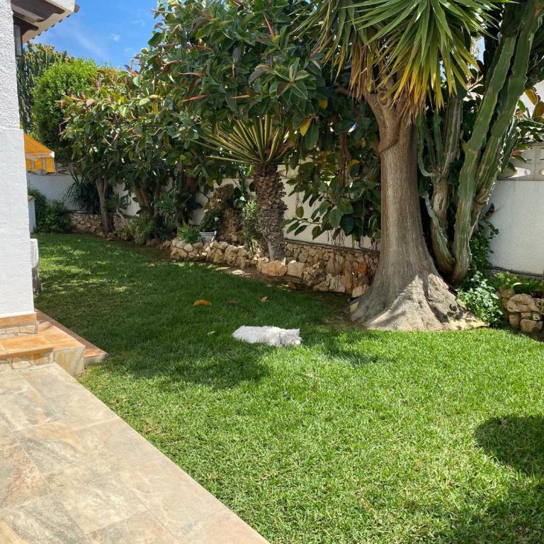La Duna de Denia - Villa de 3 dormitorios - 53