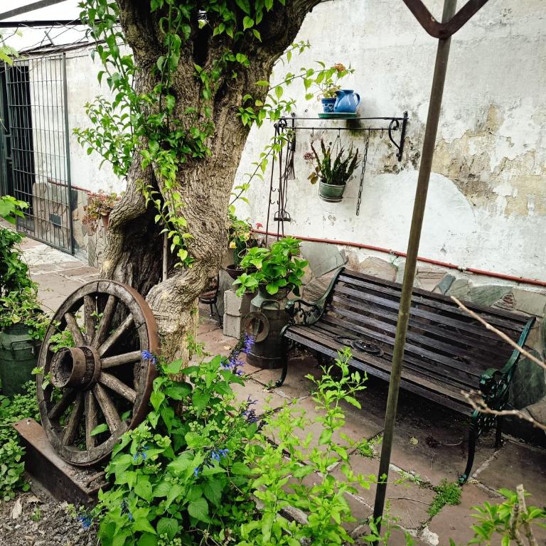 Casa ROSA garage - Apartamento de 1 dormitorio - 4