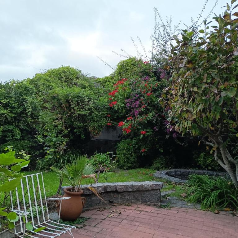 Casa ROSA garage - Apartamento de 1 dormitorio - 6