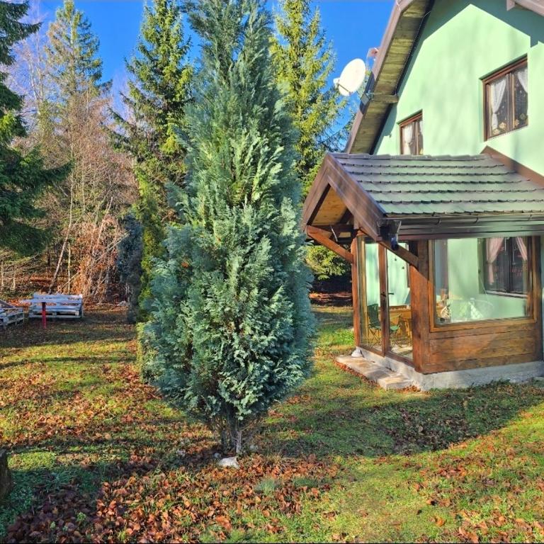 Šumska bajka - Apartman sa 1 Spavaćom Sobom - 3