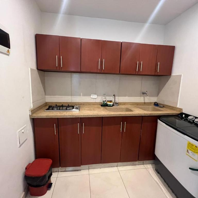 Leguizamo - One-Bedroom Apartment - 4