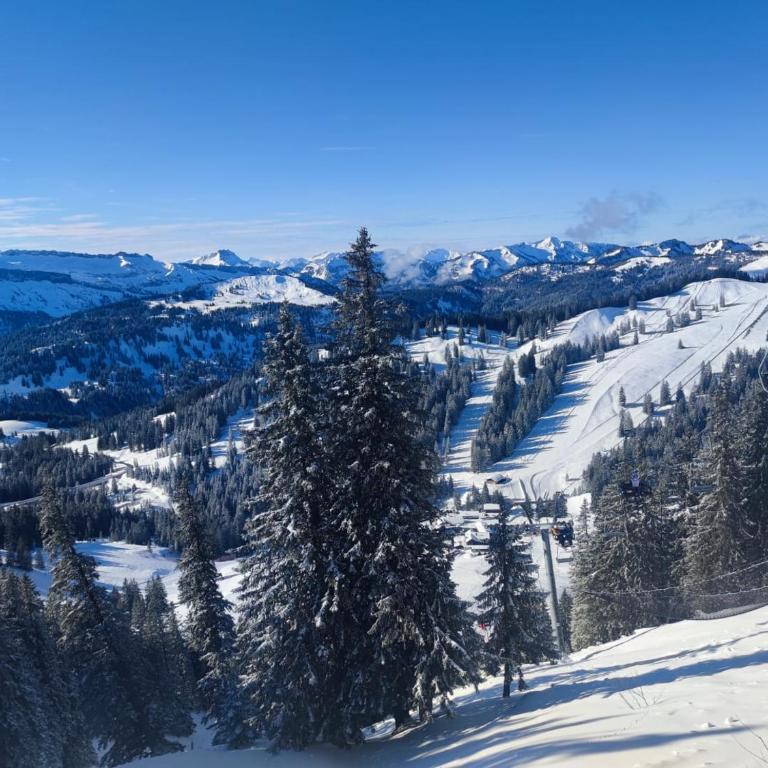 Allgäu-Nest mit Stellplatz - Apartment mit 1 Schlafzimmer - 15