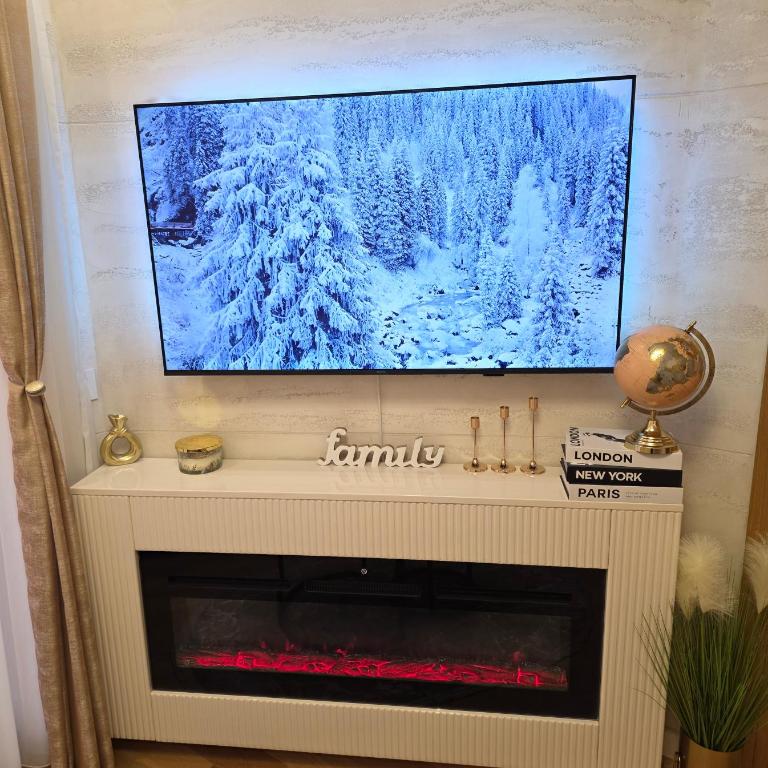 Green Hill Isidorovic Zlatibor - One-Bedroom Apartment - 32