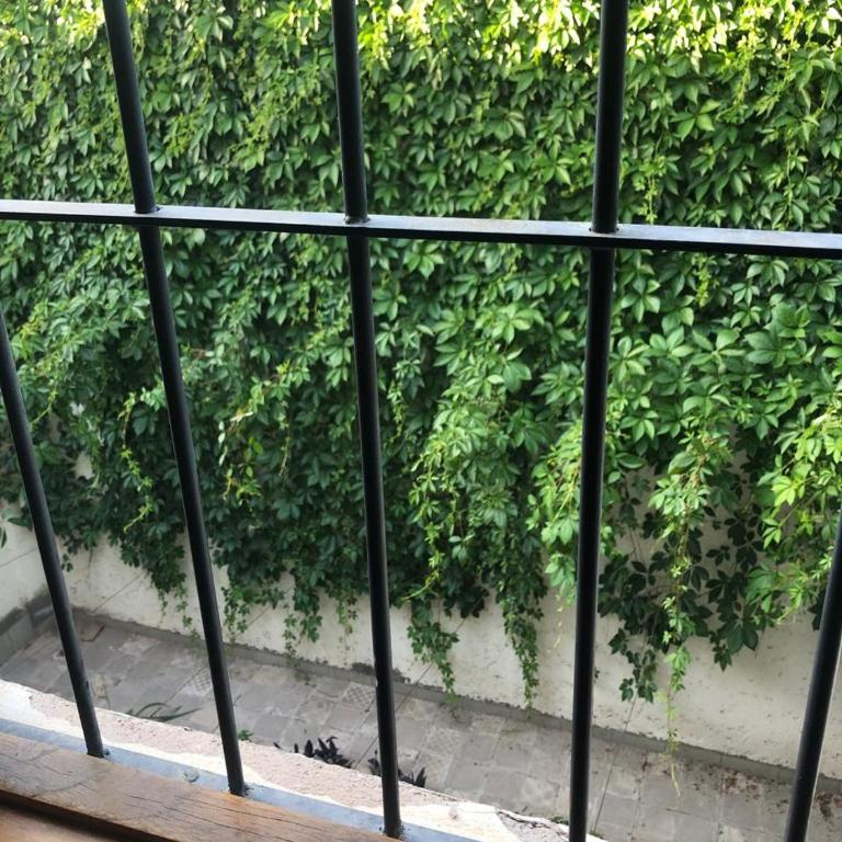 Sexta sección cercanía parques centro Relax - Casa de 2 dormitorios - 20