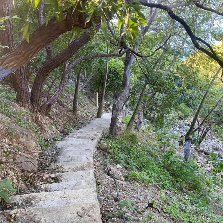 Casa frente al mar en la montaña - Casa de 3 dormitorios - 40