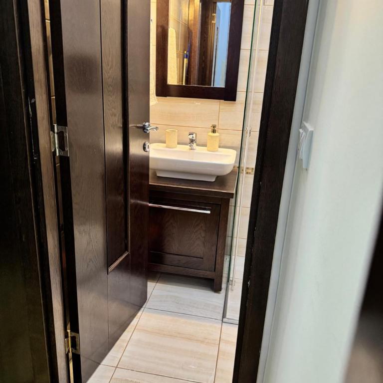 Lux apartment in the city center - Apartman sa 1 Spavaćom Sobom - 17