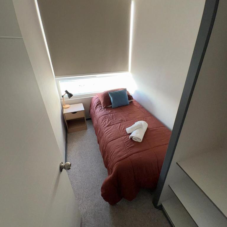 Rancagua centro - Apartamento de 2 dormitorios - 2