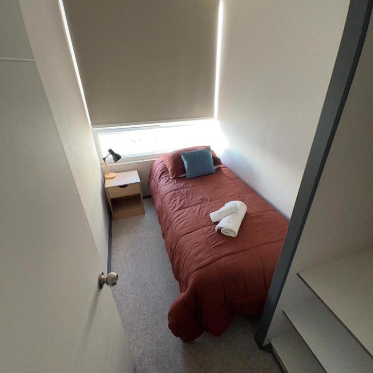 Rancagua centro - Apartamento de 2 dormitorios - 11