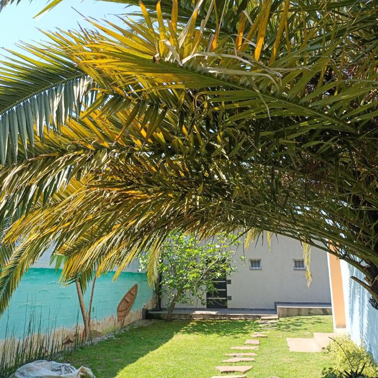 Coco's Bamboo - Apartamento de 1 dormitorio - 1