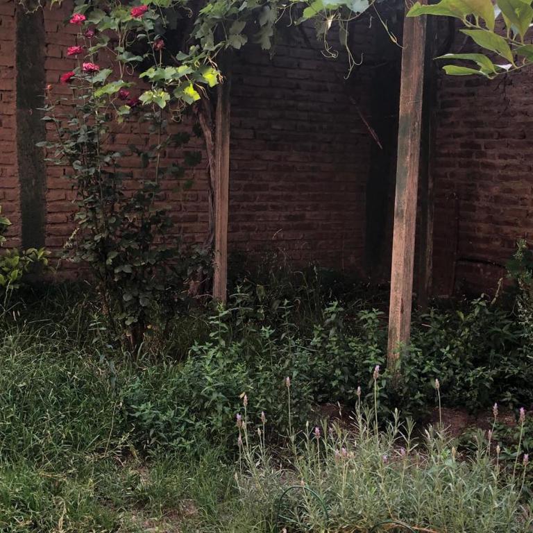 Mendoza Centrica relax - Casa con 1 dormitorio - 10