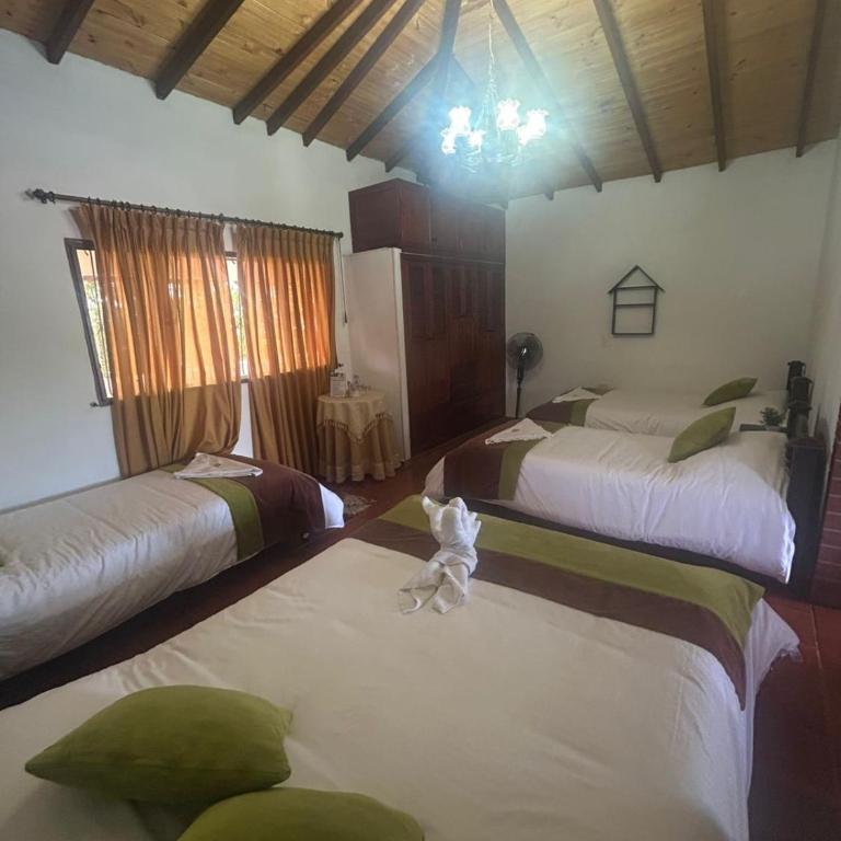 Hotel Campestre la Loma curiti - Suite Familiar - 6