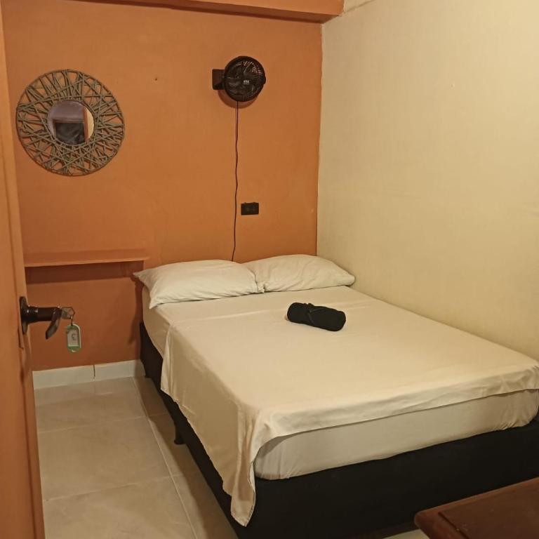 Hostal Casa Primavera - Habitación Individual con baño compartido - 5