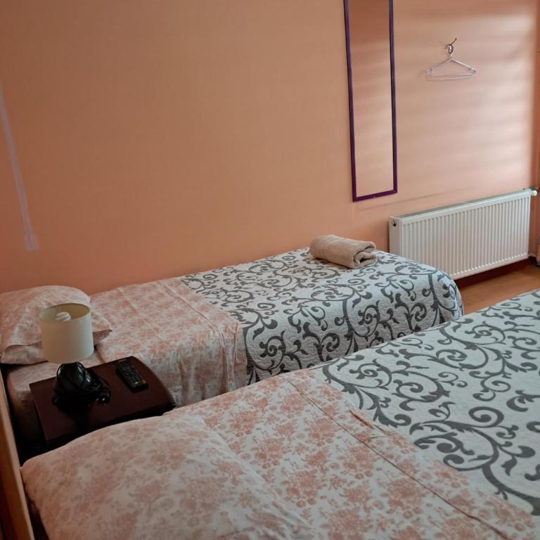 Casa Hospedaje Costanera - Twin Room with Private Bathroom - 1