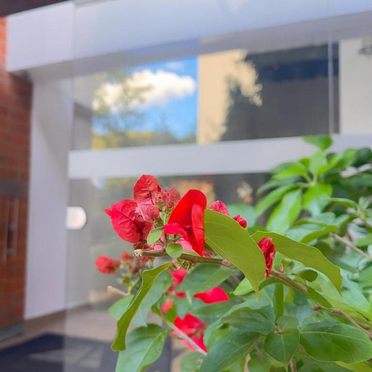 Nuevo aviso Poblado AAcomodacion grupo familiar 3- 4 hasta 6 personas - One-Bedroom Apartment - 8
