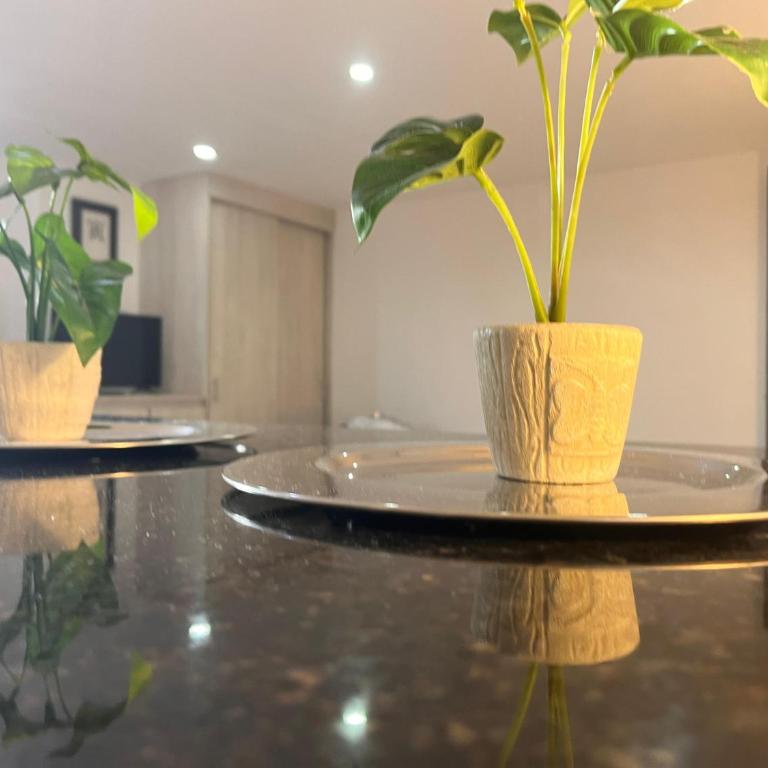 Nuevo aviso Poblado AAcomodacion grupo familiar 3- 4 hasta 6 personas - One-Bedroom Apartment - 12