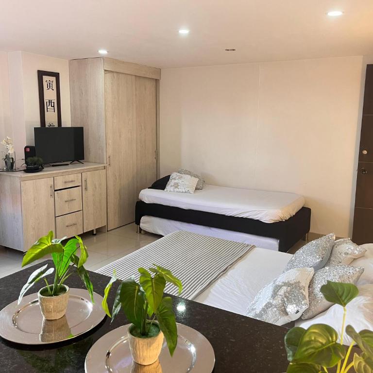 Nuevo aviso Poblado AAcomodacion grupo familiar 3- 4 hasta 6 personas - One-Bedroom Apartment - 24