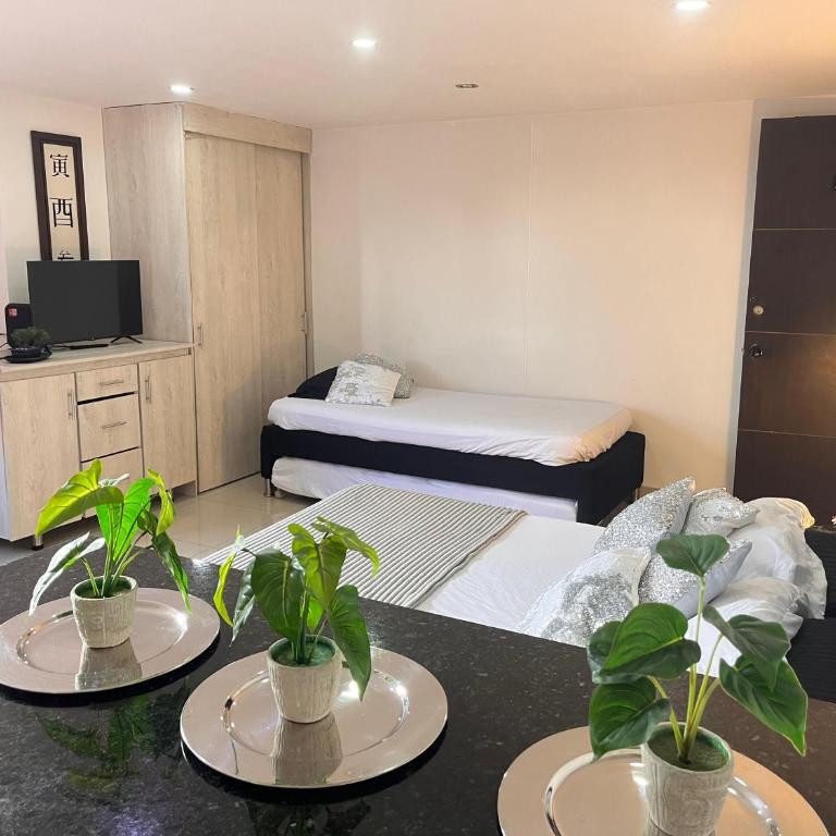Nuevo aviso Poblado AAcomodacion grupo familiar 3- 4 hasta 6 personas - One-Bedroom Apartment - 29