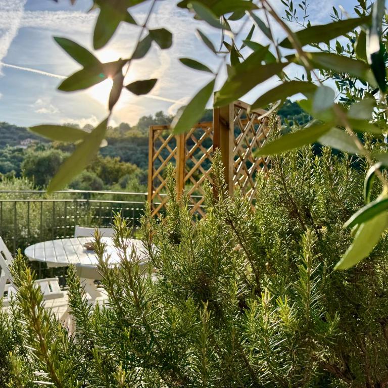 ROSMARINO - Charming 2 bedrooms apartment with garden and parking - Appartamento con 2 Camere da Letto e Vista Giardino - 1