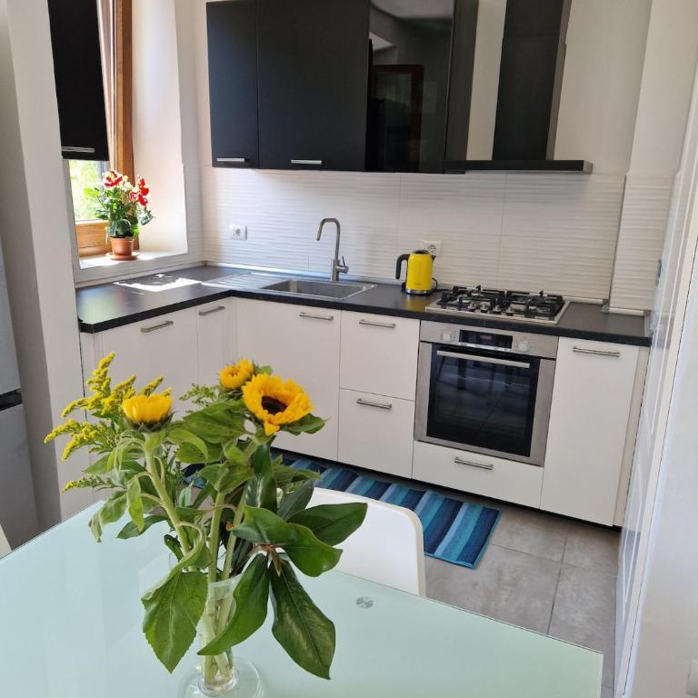 Claudia San Donato Apartment - Appartamento con 1 Camera da Letto - 12