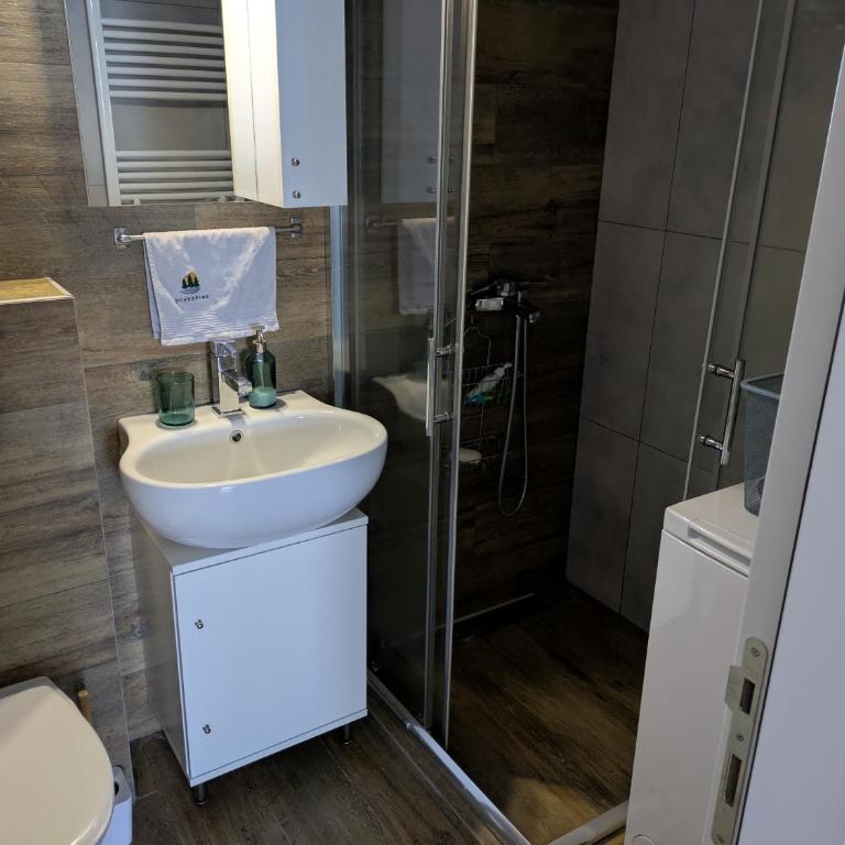 Silverpine, Kopaonik - One-Bedroom Apartment - 7