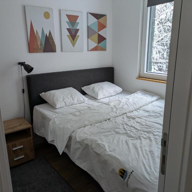 Silverpine, Kopaonik - One-Bedroom Apartment - 6