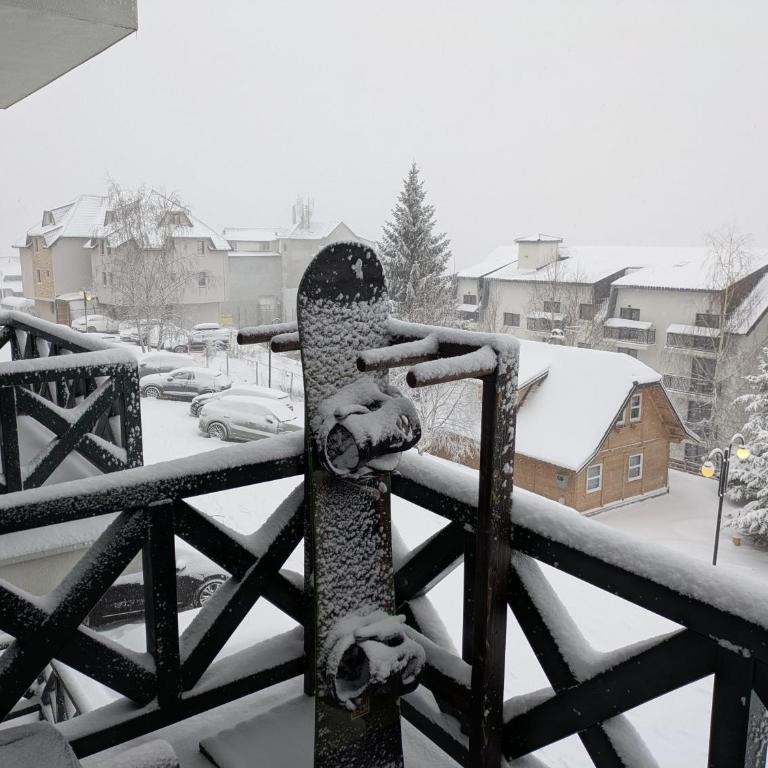 Silverpine, Kopaonik - One-Bedroom Apartment - 11
