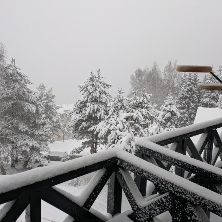 Silverpine, Kopaonik - One-Bedroom Apartment - 10