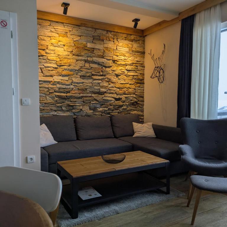 Silverpine, Kopaonik - One-Bedroom Apartment - 2