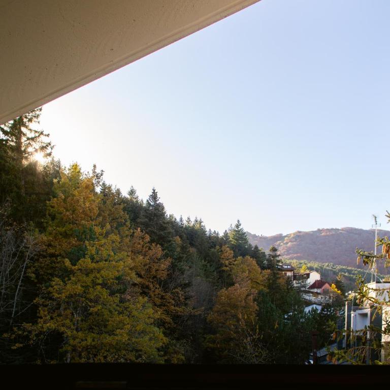 La Dimora San Rocco, Montagna e Relax - Apartamento de 2 dormitorios - 37