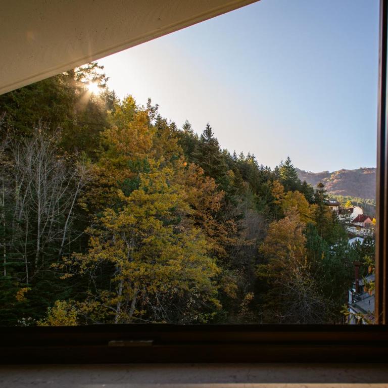 La Dimora San Rocco, Montagna e Relax - Apartamento de 2 dormitorios - 21