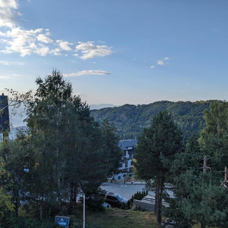 Silverpine, Kopaonik - One-Bedroom Apartment - 8