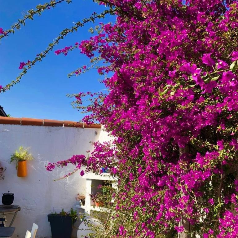Villa avec Piscine privée climatisation et wifi équipée pour 6 personnes - 6VHIP3 - Casa Vacanze - 9