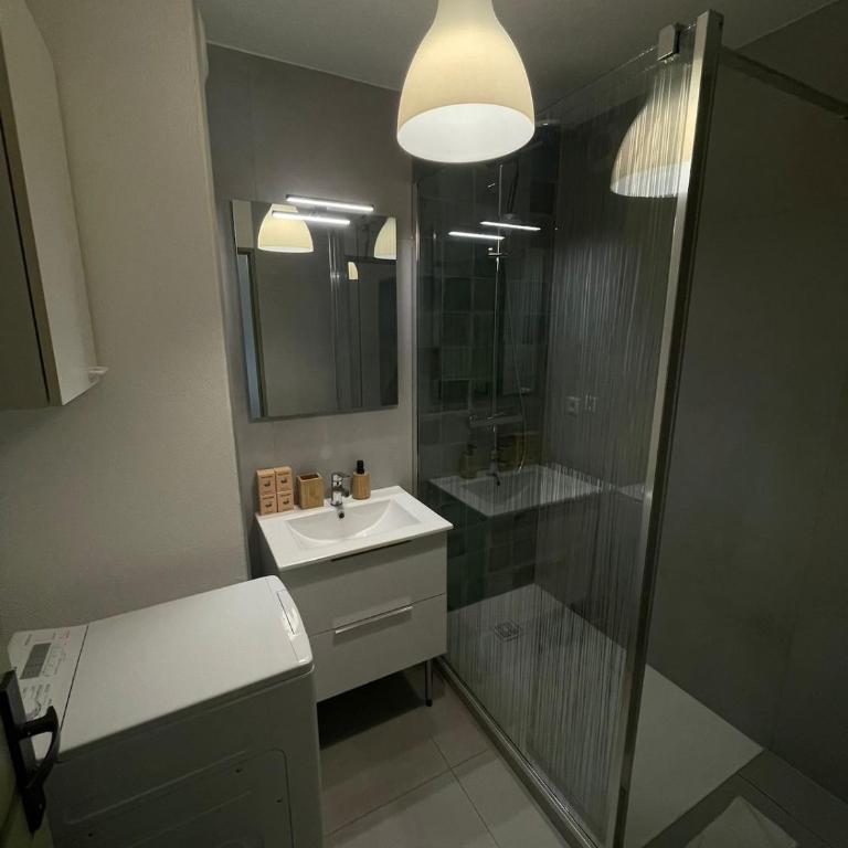 Bord du Canal 134 Logement Terrasse Mulhouse - Apartment mit 3 Schlafzimmern - 21