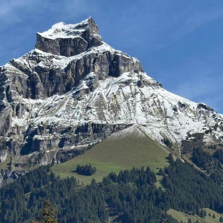 Alpine Hideaway - Cozy Mountainview Studio, Home-Cinema, Free Parking, Ski, Engelberg, Luzern - Apartment mit 1 Schlafzimmer - 27